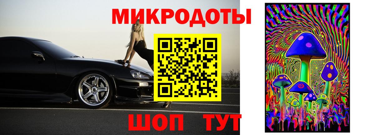 Псилоцибиновые грибы мицелий Верхняя Пышма