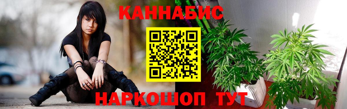 Верхняя Пышма  Конопля OG Kush  Вход с VPN  Каннабис Bruce Banner  Марихуана план 